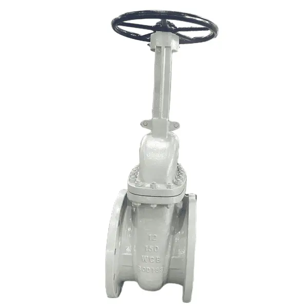 ASTM A216 WCB Gate Valve, OS&Y, API 600, 12 Inch, 150 LB, RF