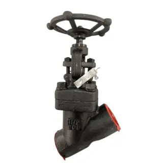 API 602 Y Globe Valve, ASTM A350 LF2, 3/4 Inch, 2680 LB