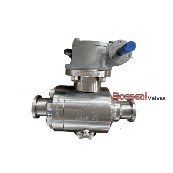 5000 PSI Ball Valve, A694 F60, 2-1/16 IN, Bolted Bonnet, BW