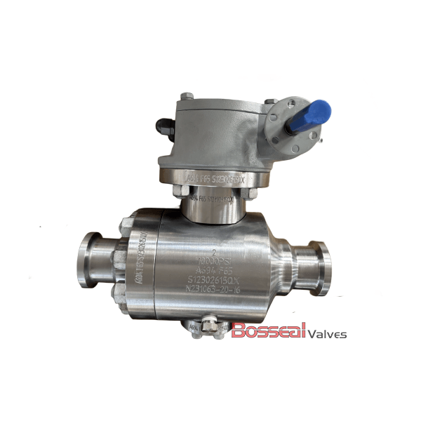 API 6A Ball Valve, A694 F60, 6-5/8 Inches, 3000 PSI, BW Ends