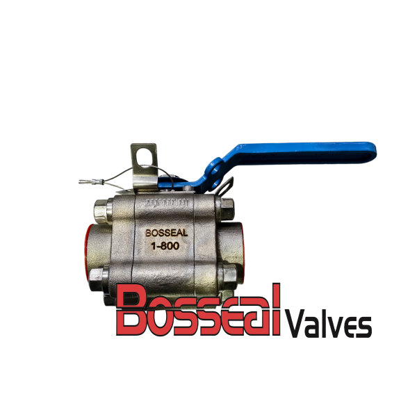 ASTM A182 F316 Ball Valve, ASME B16.34, 1 Inch, 800 LB, SW