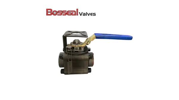 Lever Lockable Ball Valve, 1 IN, 800 LB, ISO 17292, A105N, 316 Trim ...