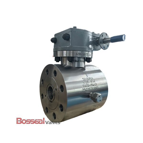 Metal Seated Ball Valves, API 6A, A694 F60/F65, 9 IN, 5000 PSI