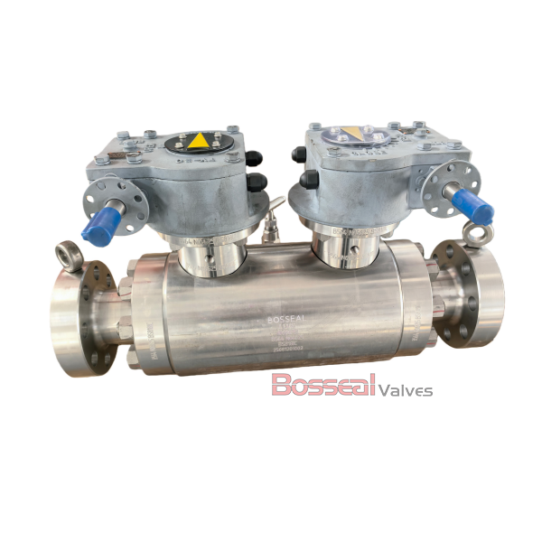 API 6D DBB Trunnion Ball Valve, A182 F316, 4 Inch, CL300, RF