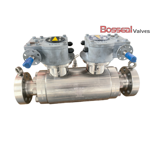 API 6D Trunnion Ball Valves, DBB, A182 F51, 6 IN, 600 LB, RF