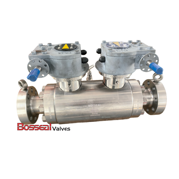 ASTM A182 F304 DBB Ball Valves, API 6D, 3 Inch, CL150, Lever