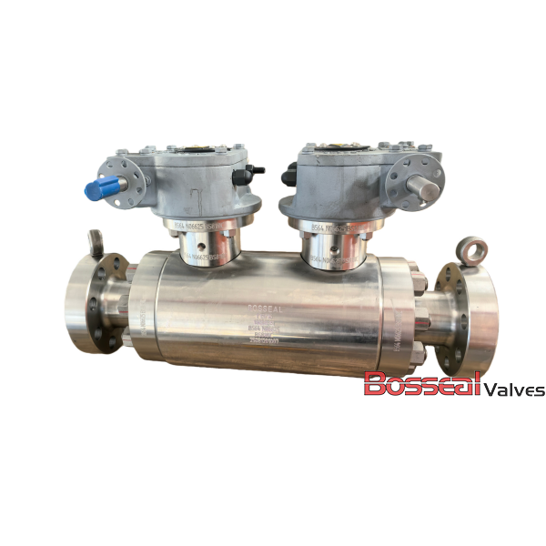 ASTM A182 F304 Double Ball Valve, 40 IN, CL600, Full Welded