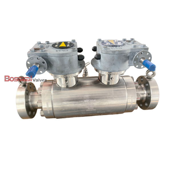 ASTM A182 F316 DBB Ball Valve, API 6D, BS 5351, 4 IN, CL2500