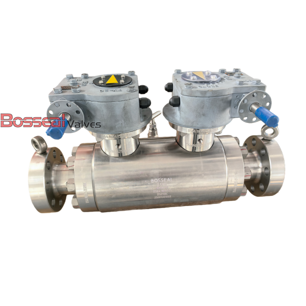 ASTM A182 F51 DBB Ball Valves, API 6D, 24 Inch, CL600 LB, RF