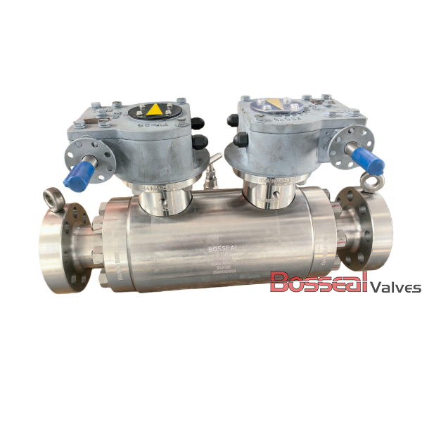 DBB Trunnion Ball Valve, API 6D, A182 F53, 8 Inches, 1500 LB