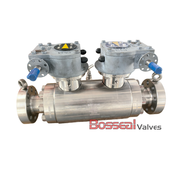 DBB Trunnion Mounted Ball Valve, A182 F316, 4 IN, CL900 LB