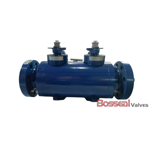 DBB Trunnion Mounted Ball Valve, API 6D, F316, 20 IN, 900 LB