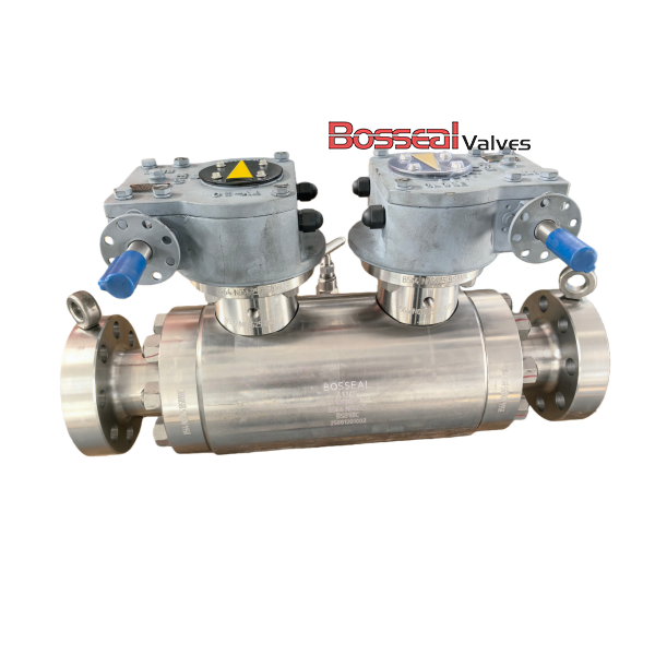 DBB Trunnion Mounted Ball Valve, BS 5351, F51, DN600, PN420