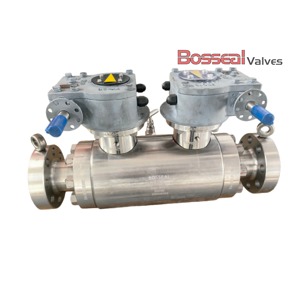Double Block &amp; Bleed Trunnion Ball Valve, F304, 3 IN, 600 LB