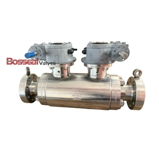 Full Welded Ball Valve, F316, 20 IN, Class 2500 LB, DBB, RTJ