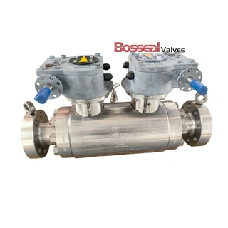 DBB Trunnion Mounted Ball Valve, BS 5351, F51, DN600, PN420
