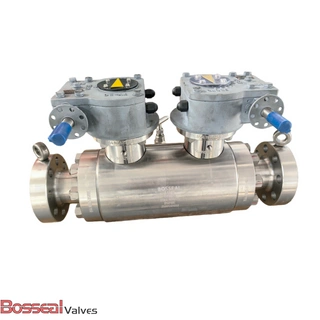 Trunnion Mounted Ball Valve, DBB, F51, 48 Inch, CL1500, RTJ