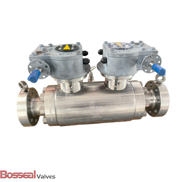 Trunnion Mounted Ball Valve, DBB, F51, 48 Inch, CL1500, RTJ