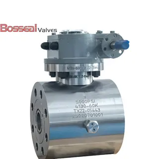 3000 PSI Forged Ball Valve, API 6D, A694 F60, 7-1/8 IN, RTJ