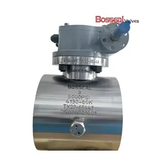 Alloy Steel Compact Ball Valves, API 6A, AISI 4130, 2-1/16 IN