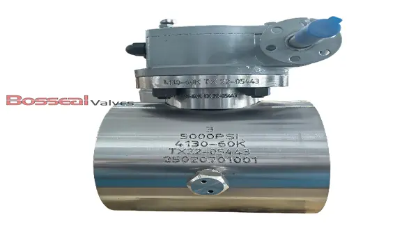 Forged Ball Valves, API 6A, Alloy Steel, 6-3/8 IN, 10000 PSI | Bosseal