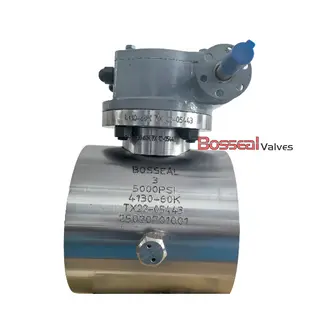 Forged Ball Valves, API 6A/API 6D, F60/F65, 7-1/16 Inch, BW