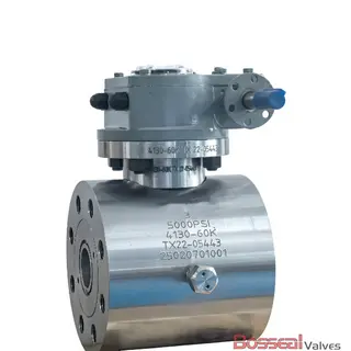 6 Inch Compact Ball Valves, API 6D, A694 F60, Soft Seat, BW