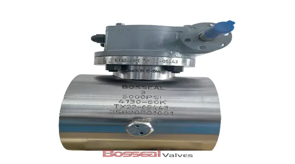 API 6D Ball Valve, AISI 4130/F65, 6-1/8 Inch, 10000 PSI, RTJ | Bosseal