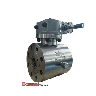 Compact Ball Valve, API 6A, A694 F60, 2-9/16 IN, 5000 PSI, RTJ