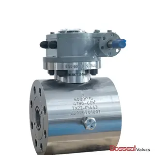 API 6D Ball Valves, AISI 4130, F51 Trim, 6 IN, 5000 PSI, BW
