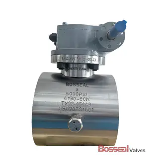 API 6A Compact Ball Valves, 1PC Body, F60/F65, 9 Inch, BW
