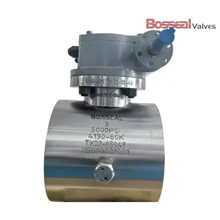 Metal Seat Ball Valve, API 6A, A694 F60, 7-1/16 IN, 3000 PSI