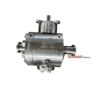 Bolted Bonnet Ball Valves, API 6A, A694 F60/F65, Side Entry