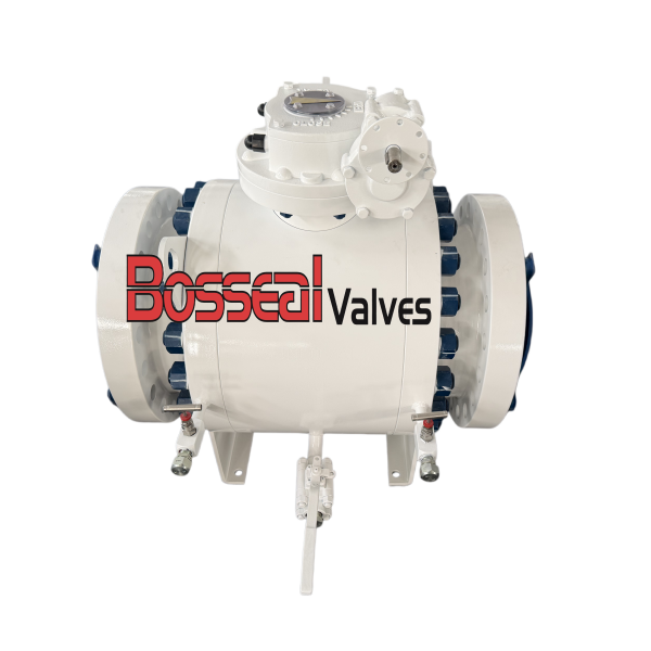 ASTM A105N DBB Trunnion Ball Valve, API 6D, 12 Inch, 600 LB