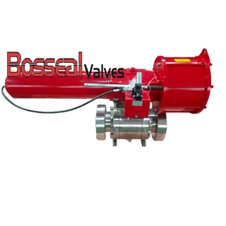 Stainless Steel Trunnion Ball Valve, DBB, 3PC, 4 IN, CL1500