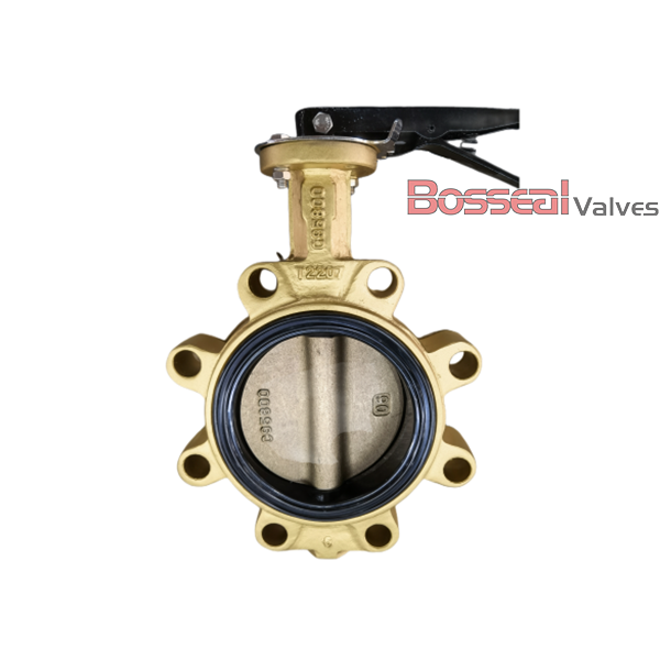 BS EN 593 Lug Concentric Butterfly Valve, C95800, 10 Inch