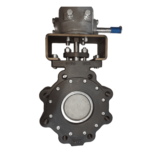 Gear Operated Double Offset Butterfly Valve, 4 Inch, 150 LB