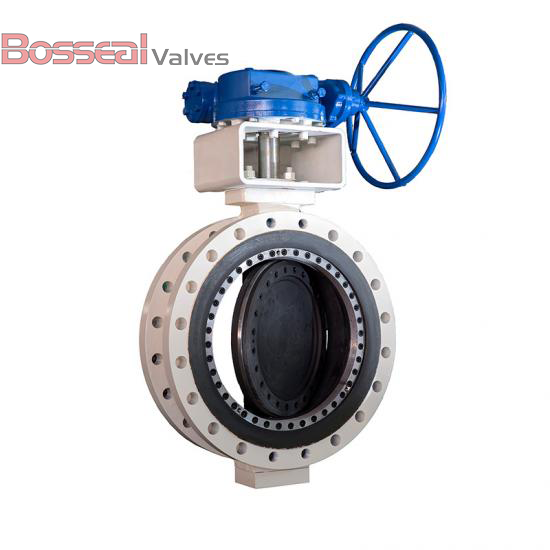 API 609 Category B Butterfly Valve, Titanium, CL300, 10 IN