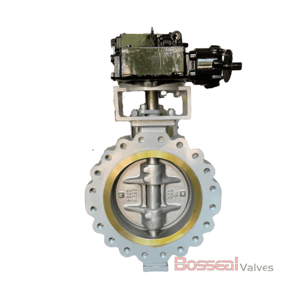 Duplex Stainless Steel Butterfly Valve, A890 5A, 10 IN, CL300