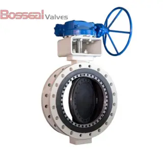 API 609 Category B Butterfly Valve, Titanium, CL300, 10 IN