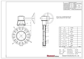 Double Offset Butterfly Valve