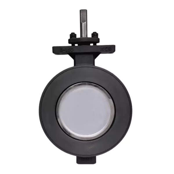 Bare Shaft Butterfly Valve, Double Offset, 6 IN, 150 LB, WCB