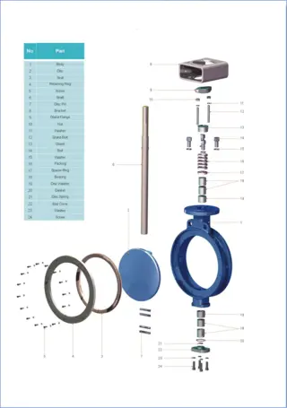 Double Eccentric Butterfly Valve