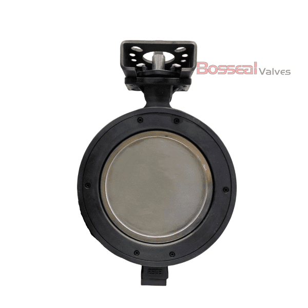RPTFE Seated Butterfly Valve, B148 C95800, 42 IN, 300 LB