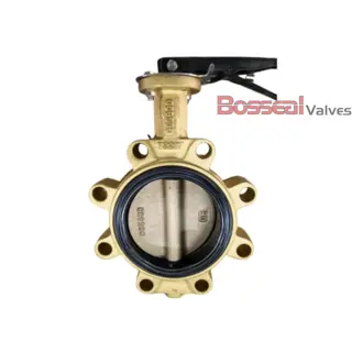 BS EN 593 Lug Concentric Butterfly Valve, C95800, 10 Inch