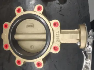 Aluminium Bronze Butterfly Valve