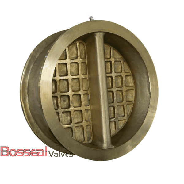 8 Inch Dual Plate Check Valve, Al-bronze, B148 C95800, CL300