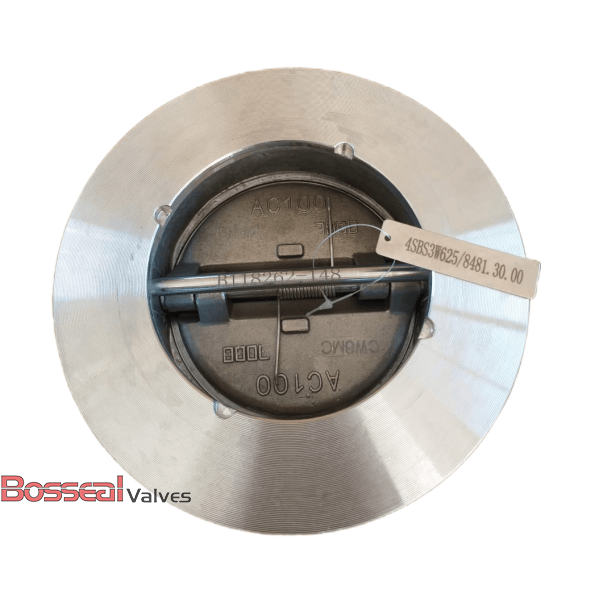 ASTM A351 CF8 Non-Return Valve, Stainless Steel, 3 IN, CL300