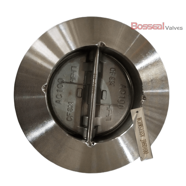 ASTM A352 LCB Check Valve, 2-1/2 Inch, CL 900 LB, API 594