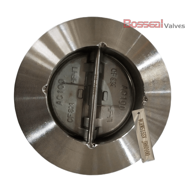 Carbon Steel Non-Return Valve, 2-1/2 IN, CL600, A352 LCB